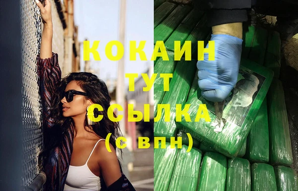 гашик Алзамай