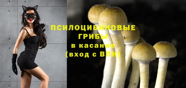 гашик Алзамай