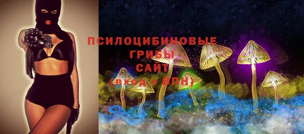 стаф Алексеевка