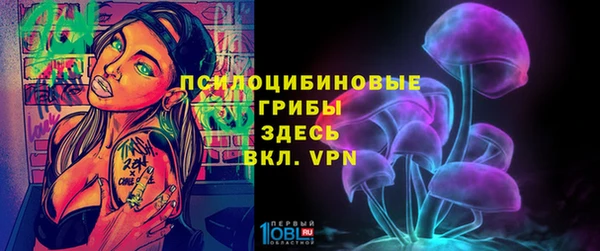 стаф Алексеевка