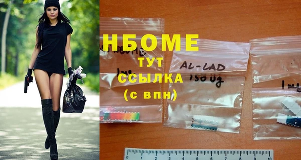гашик Алзамай